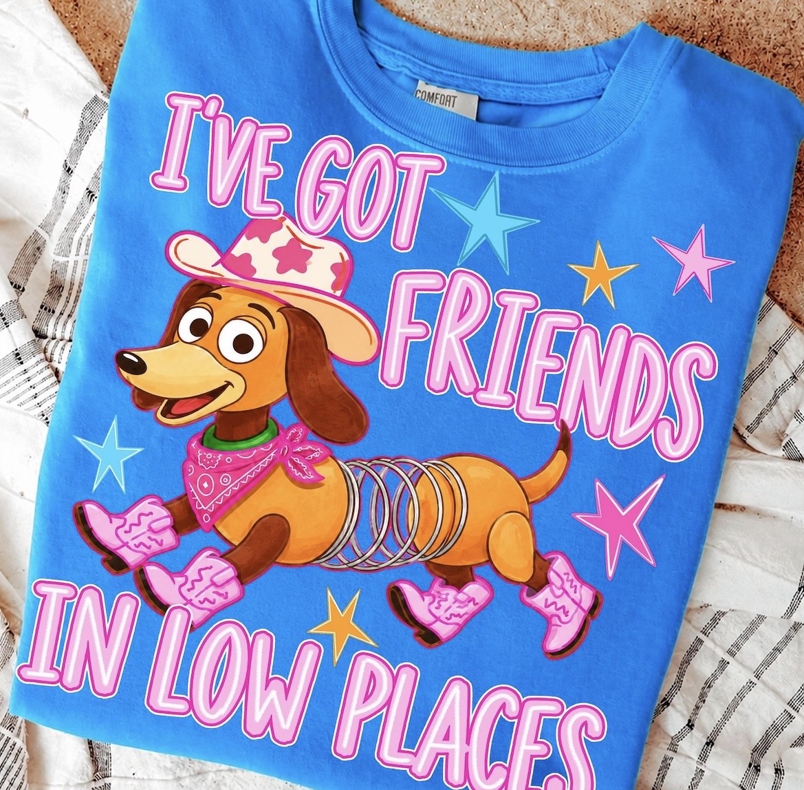 I've Got Friends in Low Places Shirt, Toy Story 5, Taylor Swift Lyrics, Disney World Vacation
