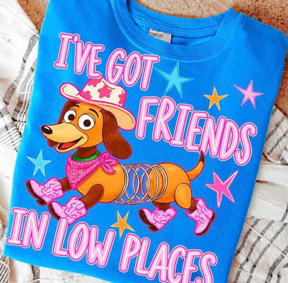 I've Got Friends in Low Places Shirt, Toy Story 5, Taylor Swift Lyrics, Disney World Vacation