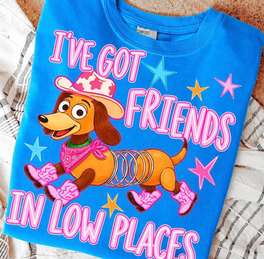 I've Got Friends in Low Places Shirt, Toy Story 5, Taylor Swift Lyrics, Disney World Vacation