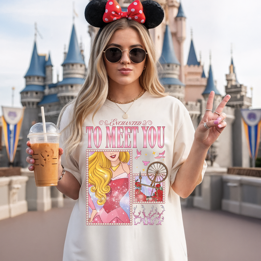 Enchanted to Meet You Shirt, Taylor Swift Lyrics, Disney World Shirt,  Sleeping Beauty Shirt