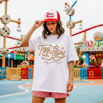 It's a Toy Story Shirt, Toy Story 5, Taylor Swift Lyrics, Disney World Vacation