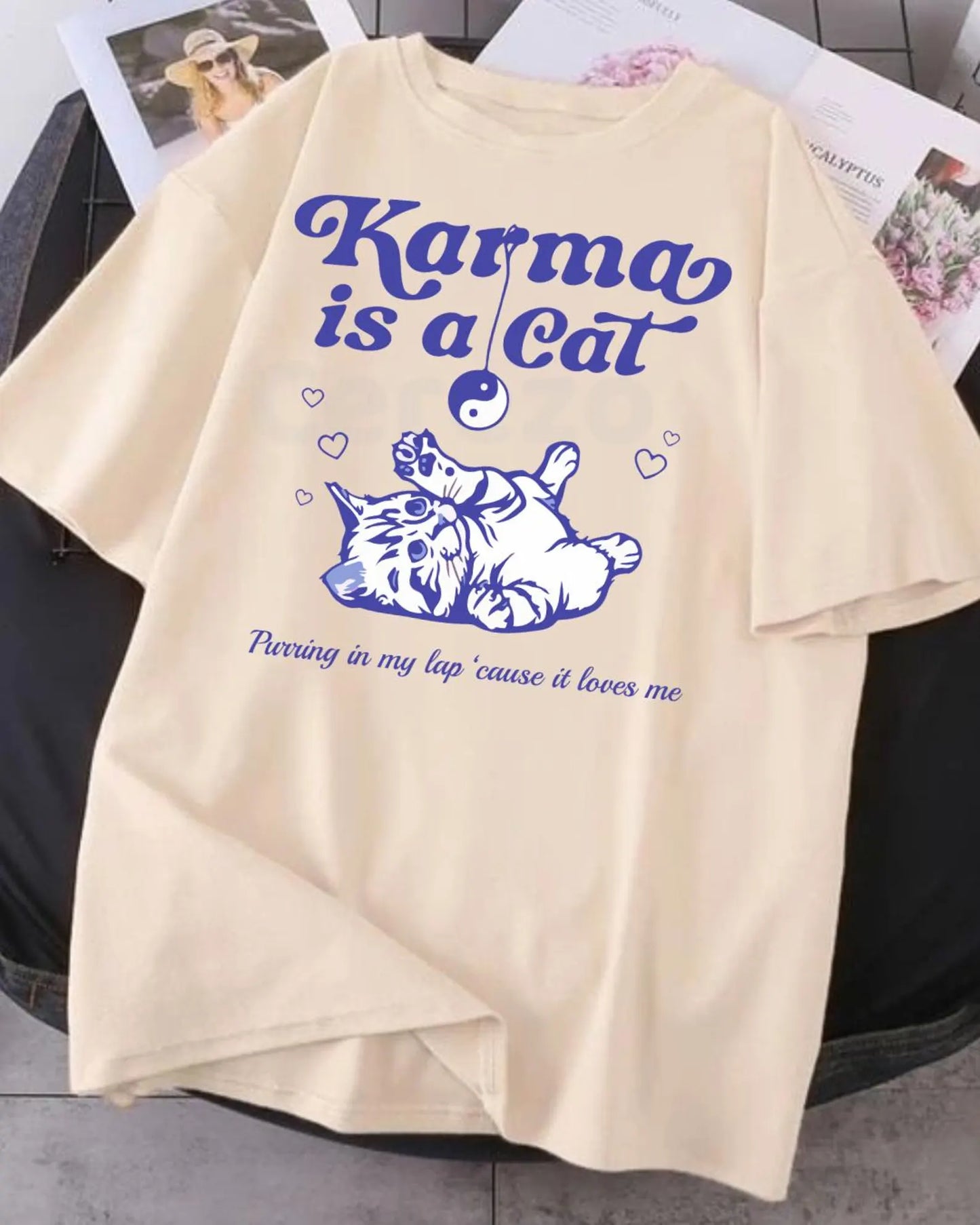 Karma is A Cat Shirt, Taylor Swift Lyrics