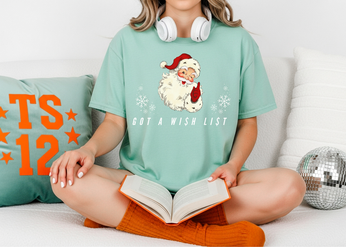 Got A Wi$h Li$t Shirt, Christmas T-shirt, Taylor Swift Shirt